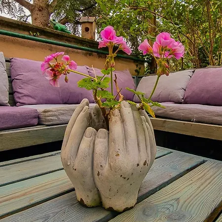 Homestay Ravissante Petite - - Gare *